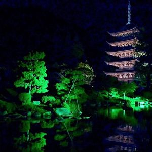 国宝瑠璃光寺五重塔 1枚目