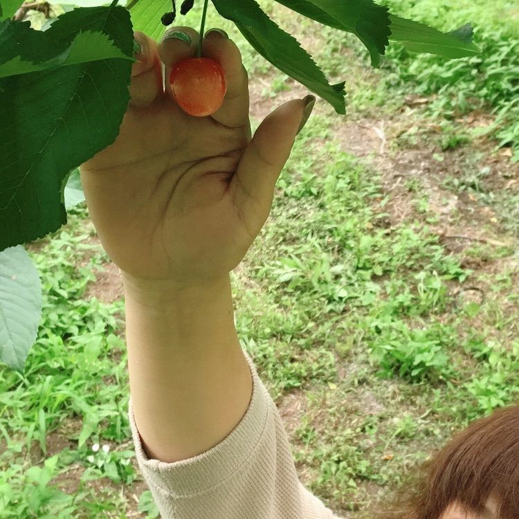 Runさんが投稿した希望の丘農園に関する口コミの画像