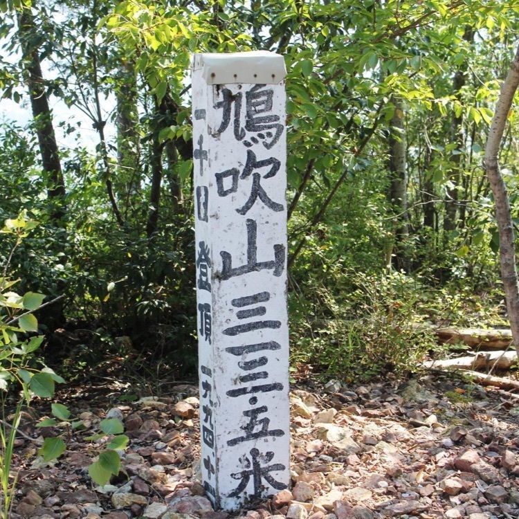 ＤＪゴン太さんが投稿した納古山に関する口コミの画像