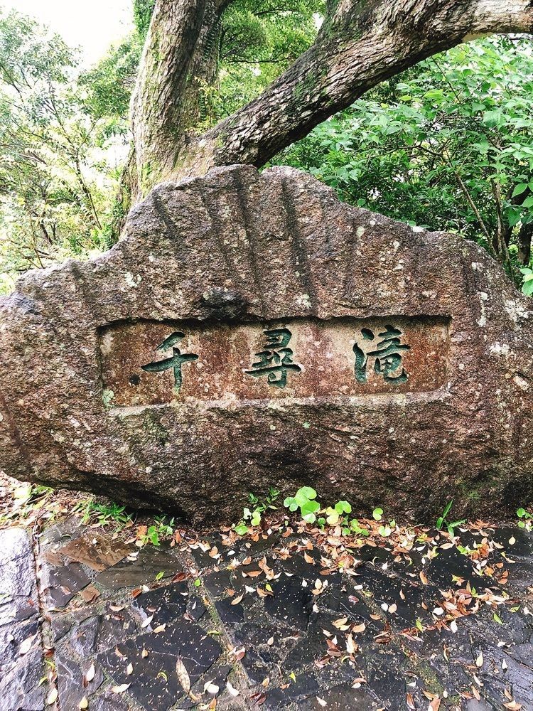 うーさんが投稿した千尋の滝（鹿児島県屋久島町）に関する口コミの画像