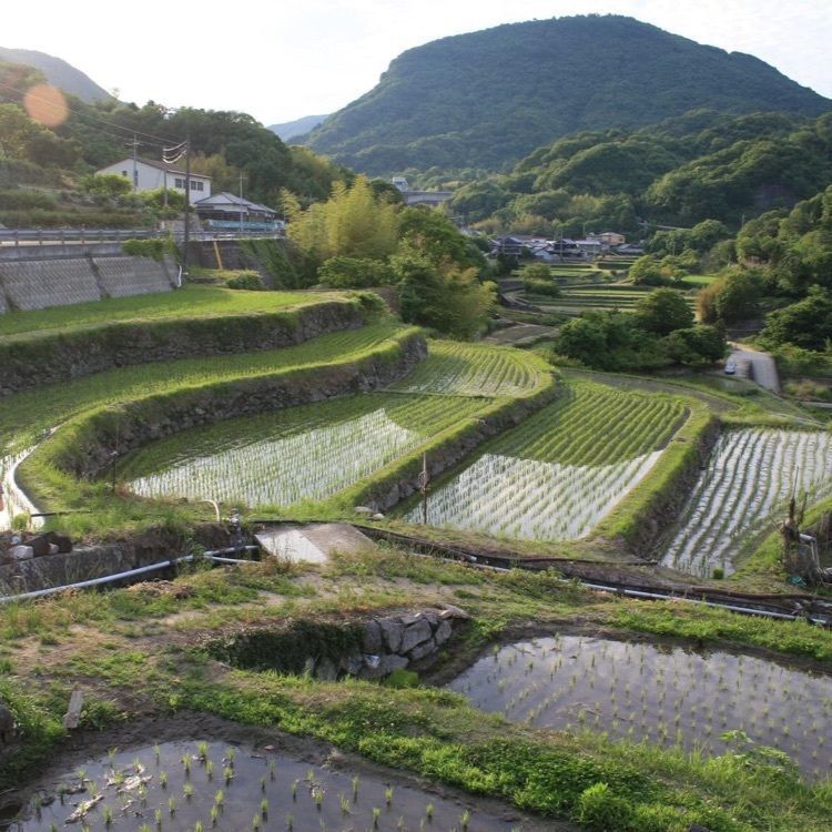 ＤＪゴン太さんが投稿した中山千枚田に関する口コミの画像