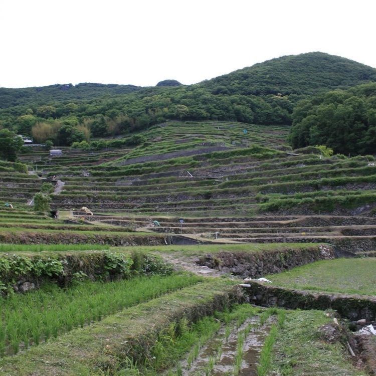 ＤＪゴン太さんが投稿した湯船の水と千枚田に関する口コミの画像