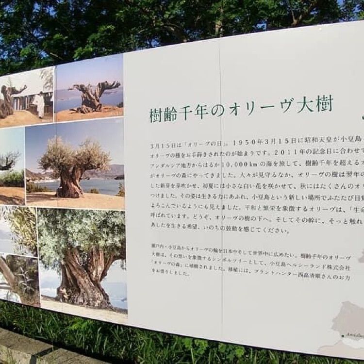 ＤＪゴン太さんが投稿したオリーヴの森の駅に関する口コミの画像