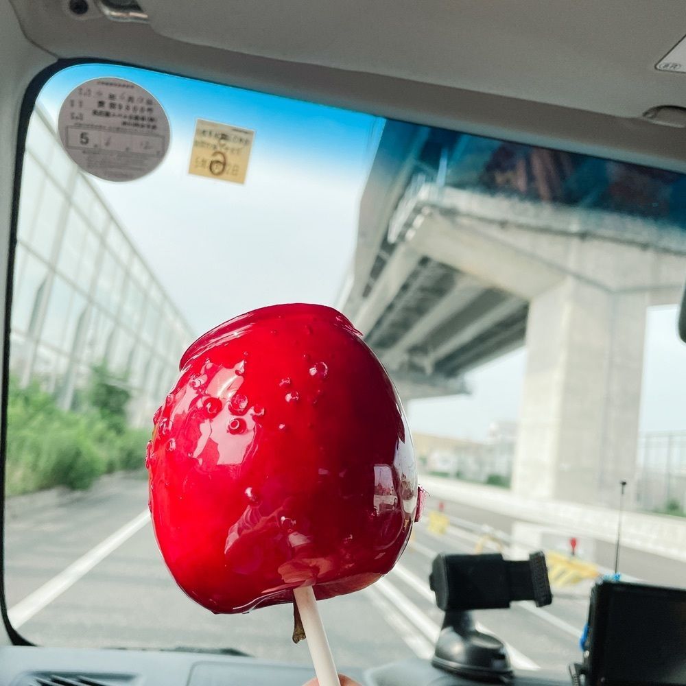 赤毛のアンさんが投稿した林檎のきもちに関する口コミの画像