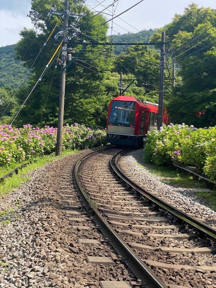 かよこさんが投稿した大平台駅に関する口コミの画像