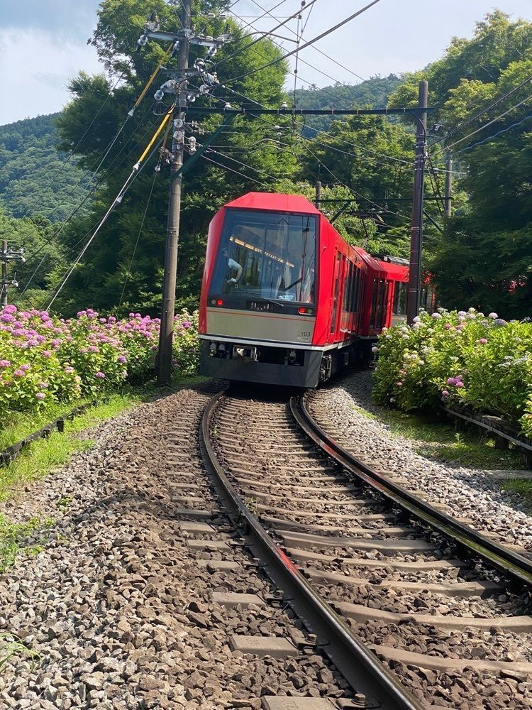かよこさんが投稿した大平台駅に関する口コミの画像