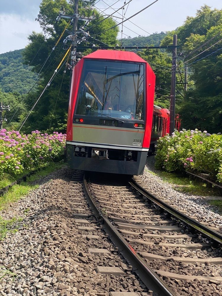 かよこさんが投稿した大平台駅に関する口コミの画像