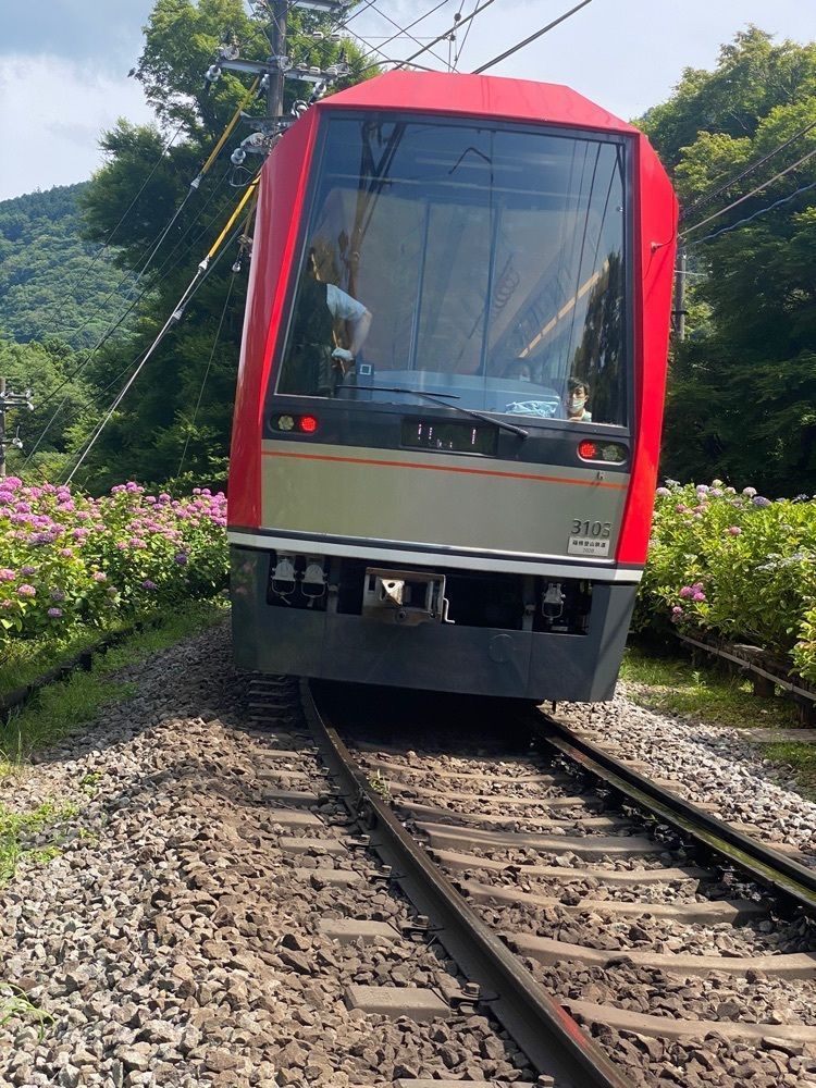 かよこさんが投稿した大平台駅に関する口コミの画像