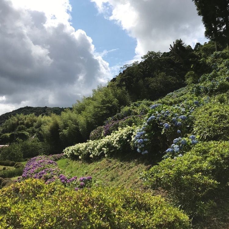 nostalgic_tourism_1541さんが投稿した菜の花カフェに関する口コミの画像