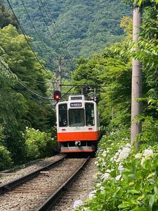 箱根上の湯 3枚目
