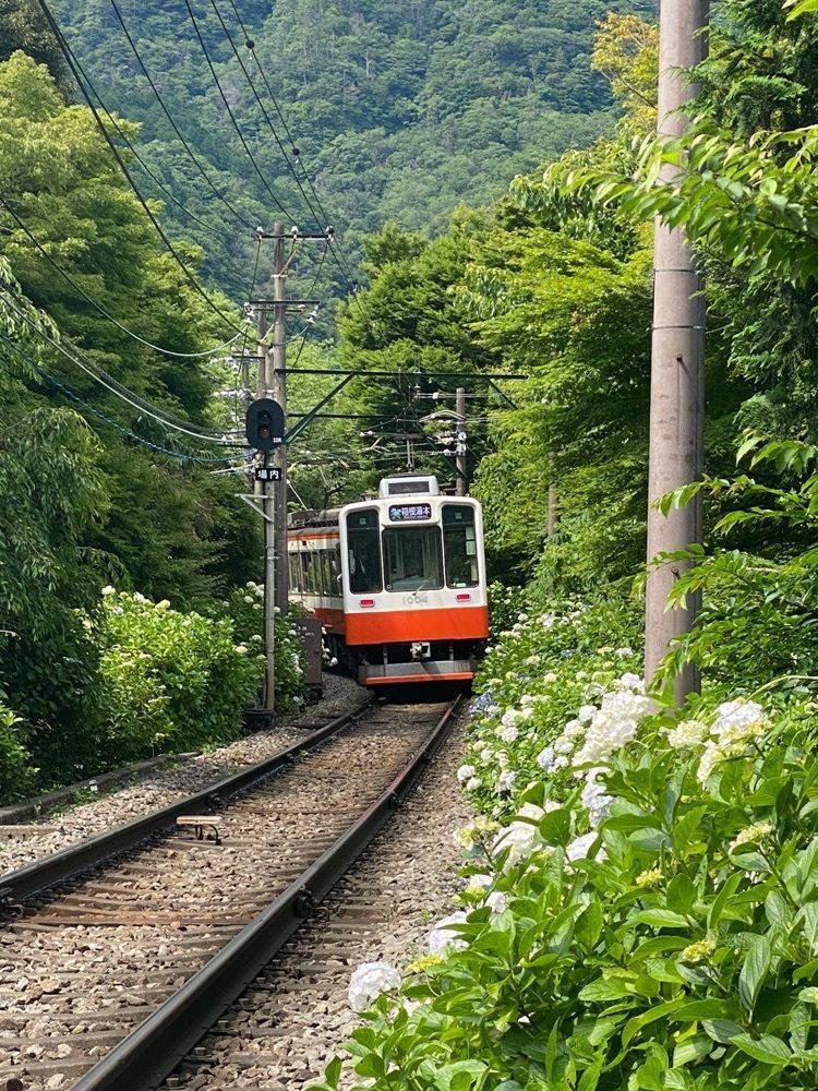 かよこさんが投稿した箱根上の湯に関する口コミの画像