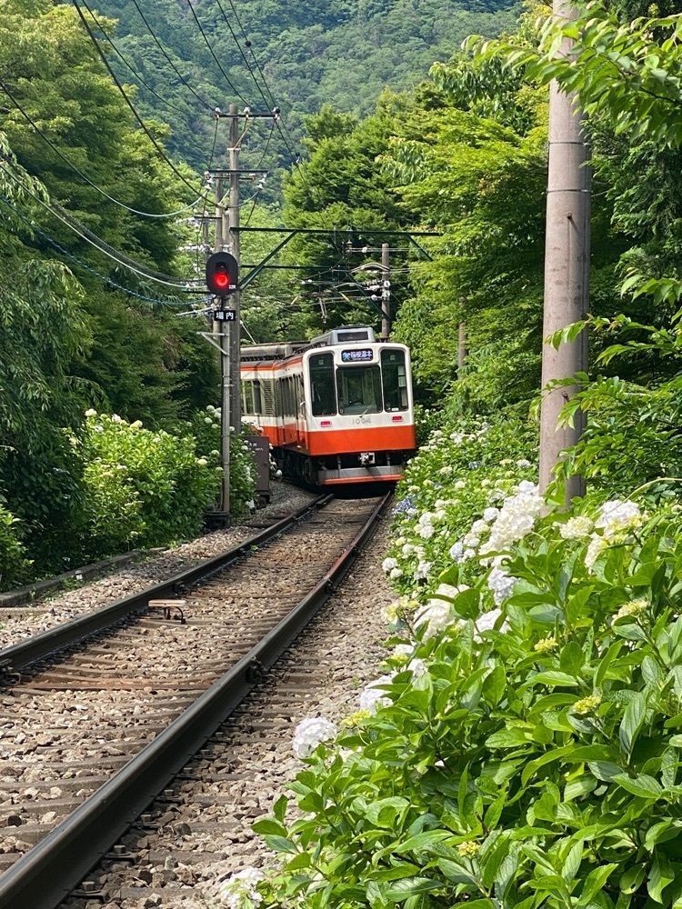 かよこさんが投稿した箱根上の湯に関する口コミの画像