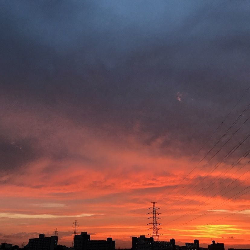 emthayatoffさんが投稿した横浜市金沢区に関する口コミの画像