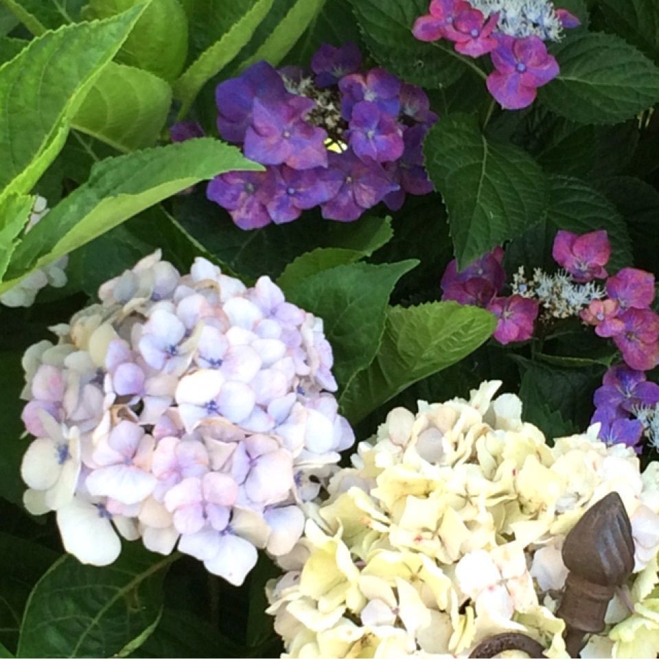 reo0318さんが投稿したyaichi（やいち）に関する口コミの画像