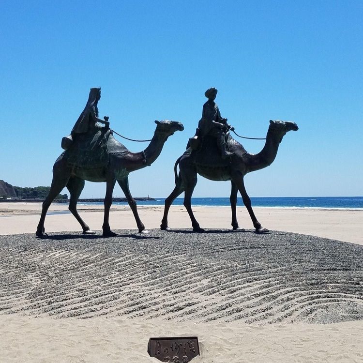 ＤＪゴン太さんが投稿した御宿海岸に関する口コミの画像