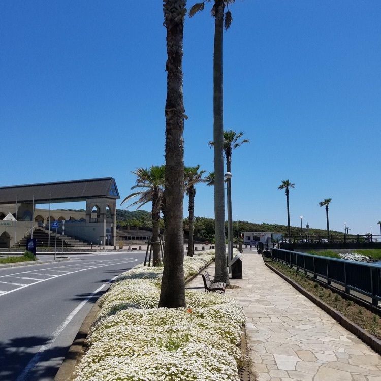 ＤＪゴン太さんが投稿した御宿海岸に関する口コミの画像