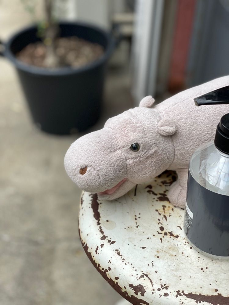 えつごさんが投稿したヒッポー ホステル カフェ バー（HIPPO Hostel & Cafe Bar）に関する口コミの画像