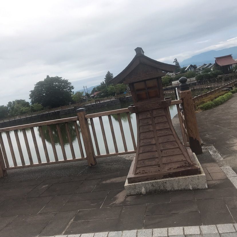 猫なぎ。さんが投稿した東根の大ケヤキに関する口コミの画像