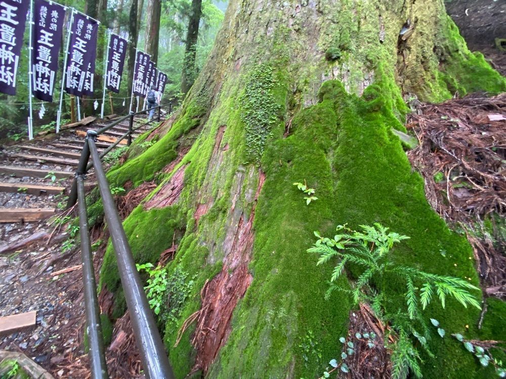 emotional_park_0279さんが投稿した玉置山 栄山 玉置神社に関する口コミの画像