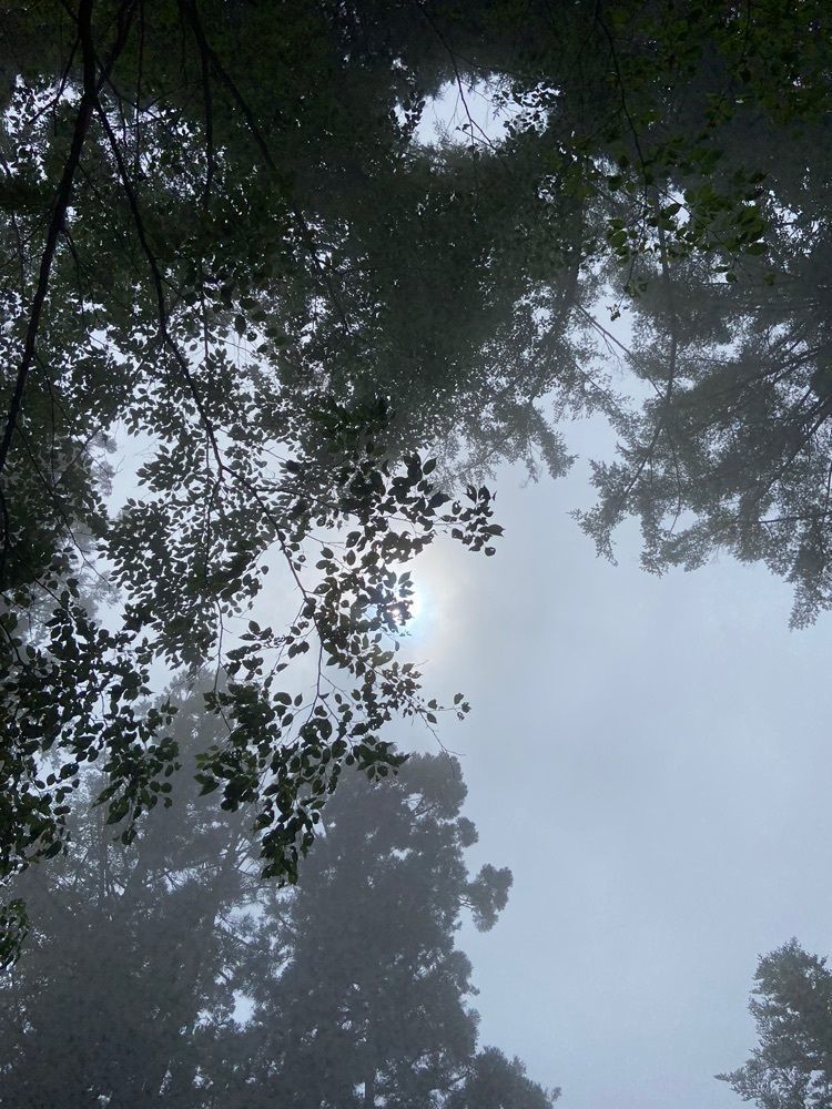 emotional_park_0279さんが投稿した玉置山 栄山 玉置神社に関する口コミの画像