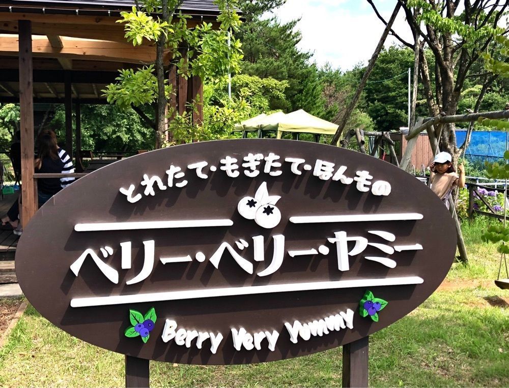 taka_wildflowerさんが投稿したベリー・ベリー・ヤミーに関する口コミの画像