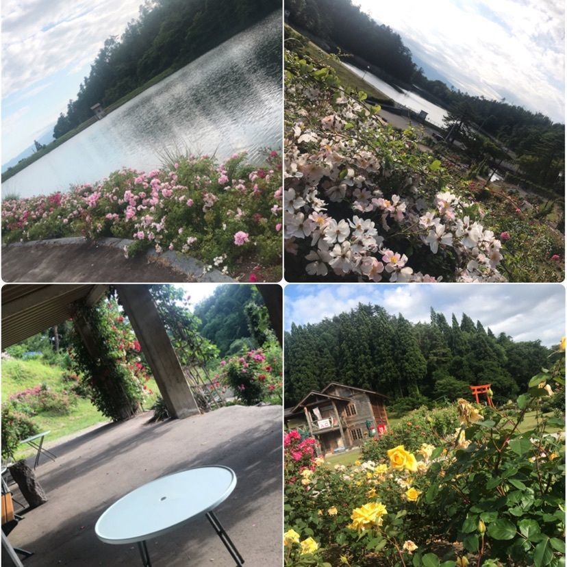 猫なぎ。さんが投稿した村山市に関する口コミの画像