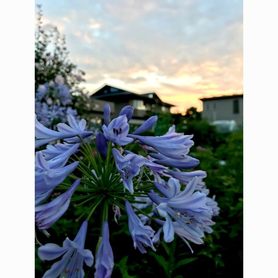 ＫMＴKさんが投稿したホテルニューパレスに関する口コミの画像