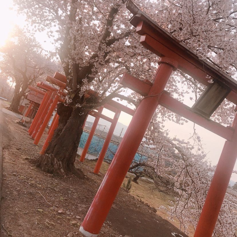 猫なぎ。さんが投稿した東根市に関する口コミの画像