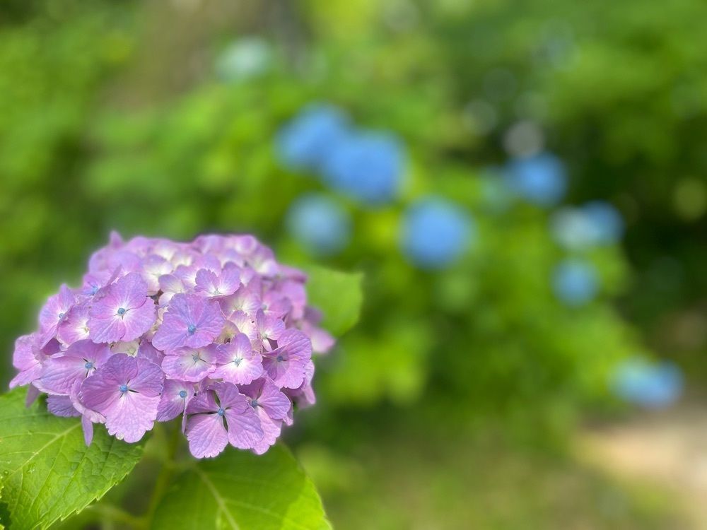 yuan.sさんが投稿した黒羽芭蕉の館に関する口コミの画像