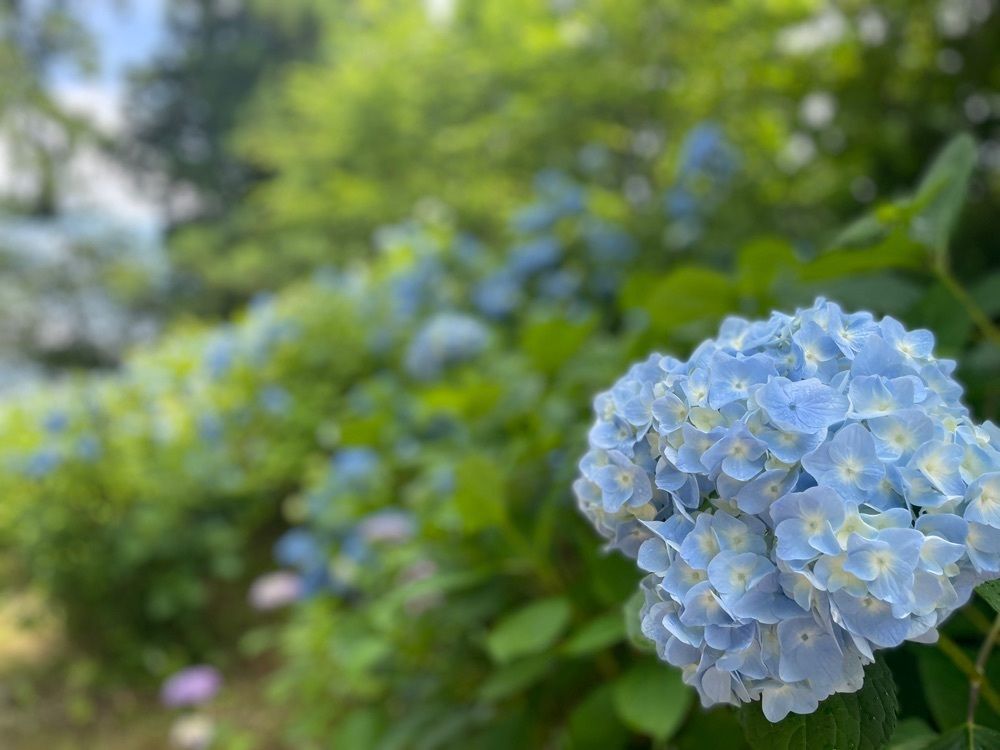 yuan.sさんが投稿した黒羽芭蕉の館に関する口コミの画像
