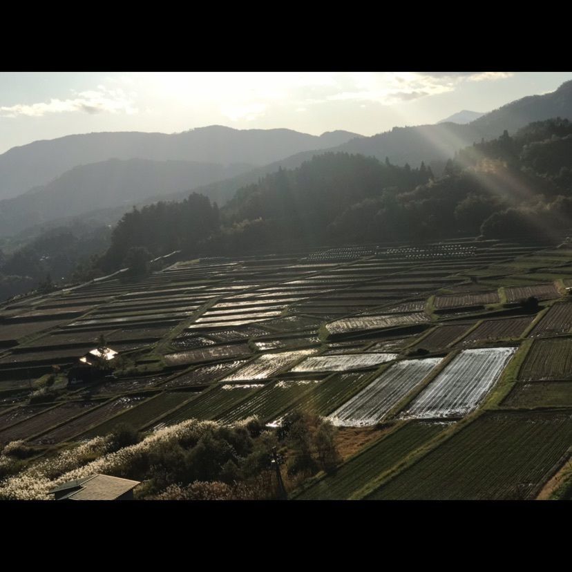 猫なぎ。さんが投稿した朝日町に関する口コミの画像