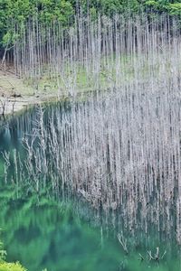 湯西川ダム 2枚目