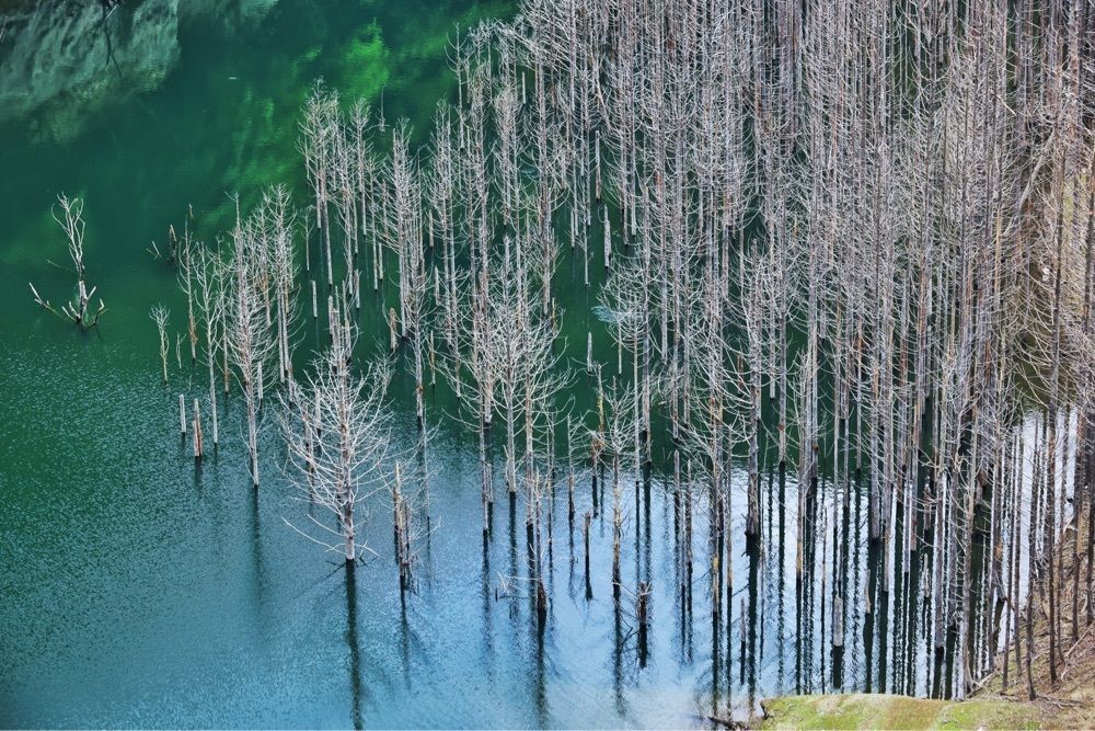 まさまさ　さまさんが投稿した湯西川ダムに関する口コミの画像