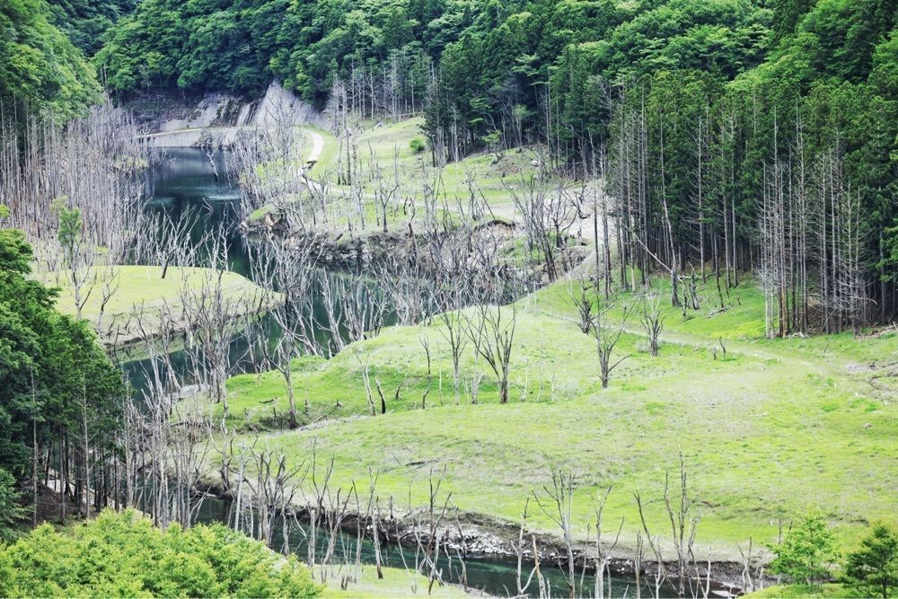まさまさ　さまさんが投稿した湯西川ダムに関する口コミの画像
