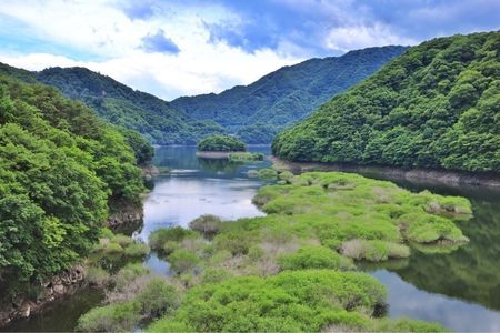 五十里ダム 3枚目