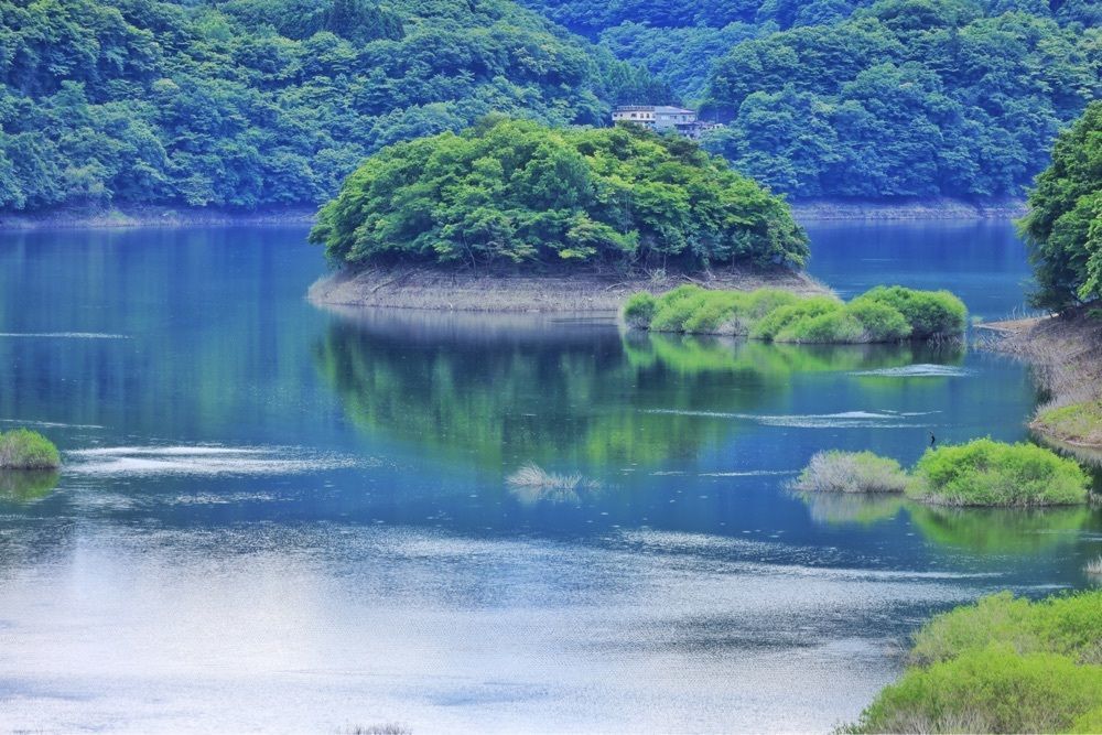 まさまさ　さまさんが投稿した五十里ダムに関する口コミの画像