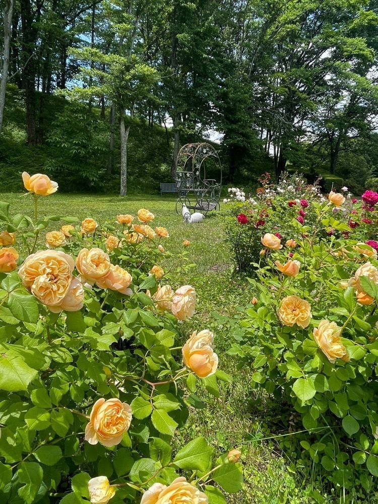 kei_koさんが投稿したレストラン湖水（軽井沢タリアセン）に関する口コミの画像