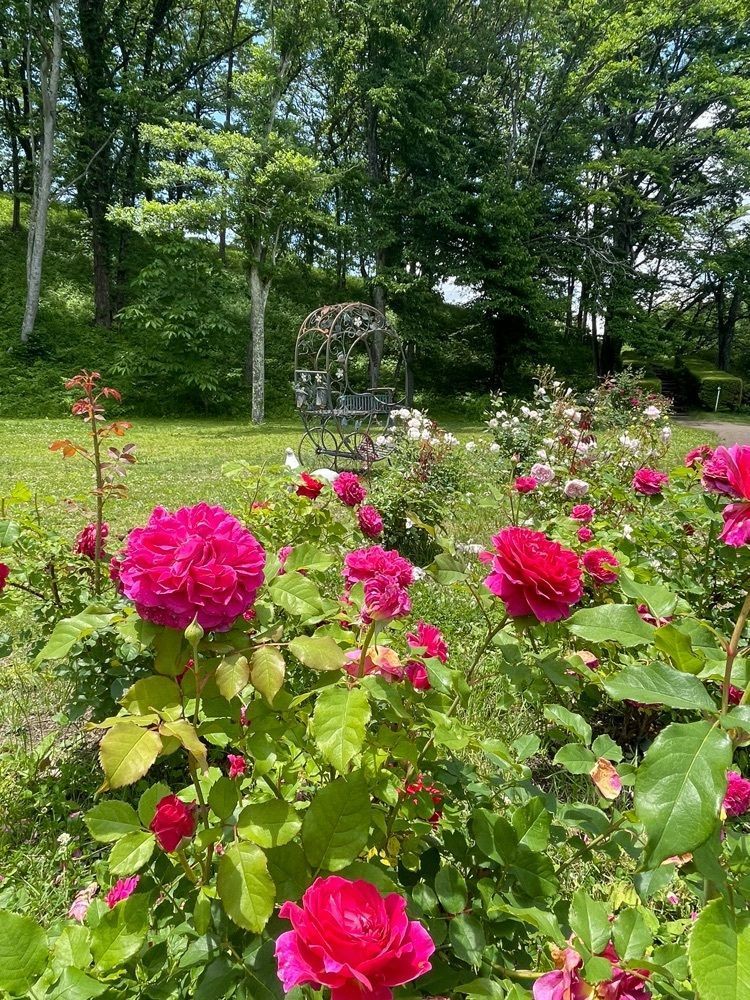 kei_koさんが投稿したレストラン湖水（軽井沢タリアセン）に関する口コミの画像