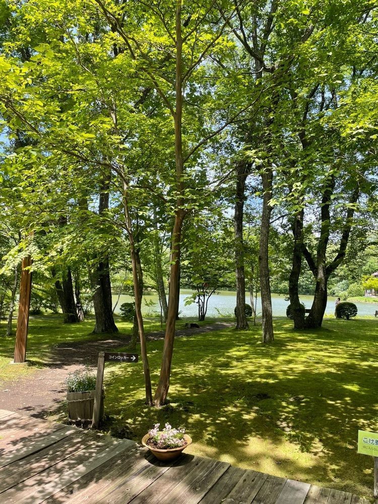 kei_koさんが投稿したレストラン湖水（軽井沢タリアセン）に関する口コミの画像