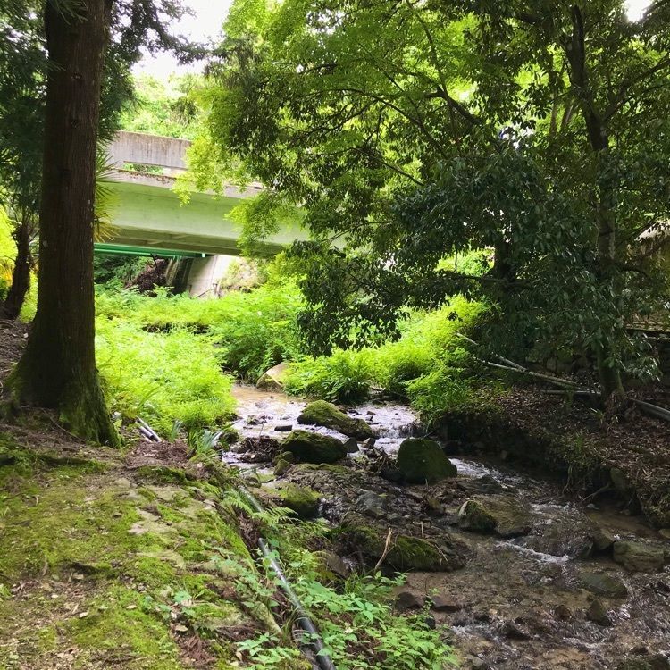 NBR OTさんが投稿した比叡山坂本駅に関する口コミの画像