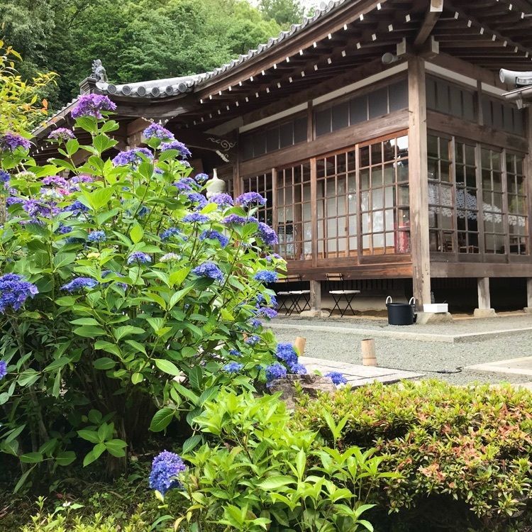 NBR OTさんが投稿した比叡山坂本駅に関する口コミの画像