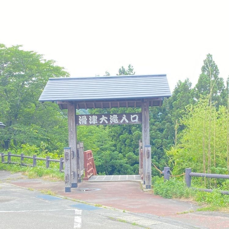 かめ_メグミの画像