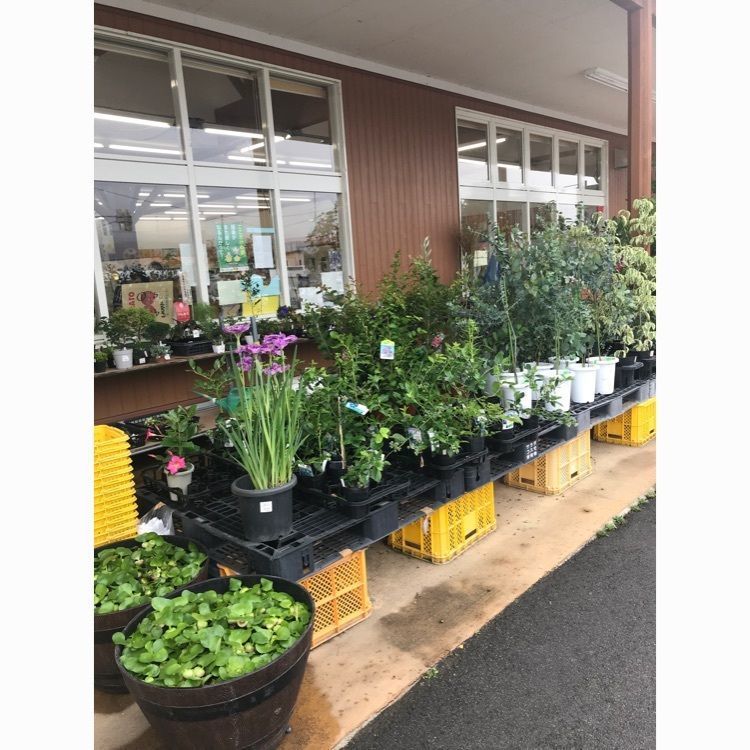あっけさんが投稿したハタケスタイル トマト上山店（HATAKE STYLE【旧店名】HATAKECafe）に関する口コミの画像