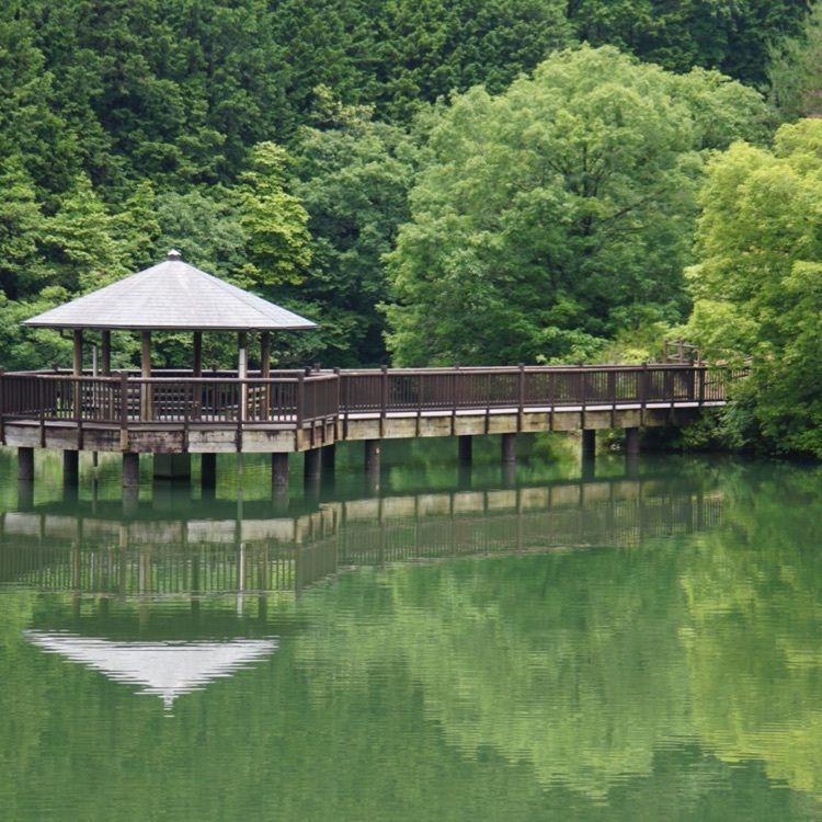 雑草さんが投稿した井手町野外活動センター大正池グリーンパークに関する口コミの画像