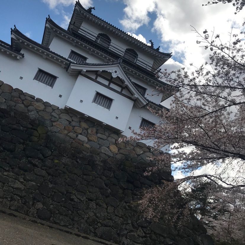 猫なぎ。さんが投稿した白石城に関する口コミの画像