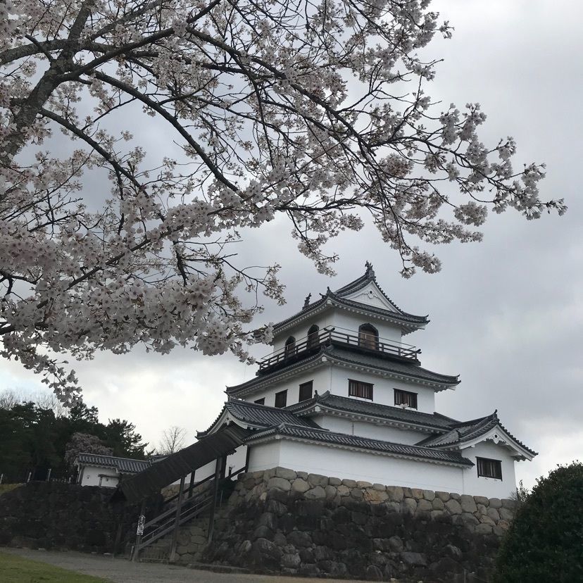 猫なぎ。さんが投稿した白石城に関する口コミの画像
