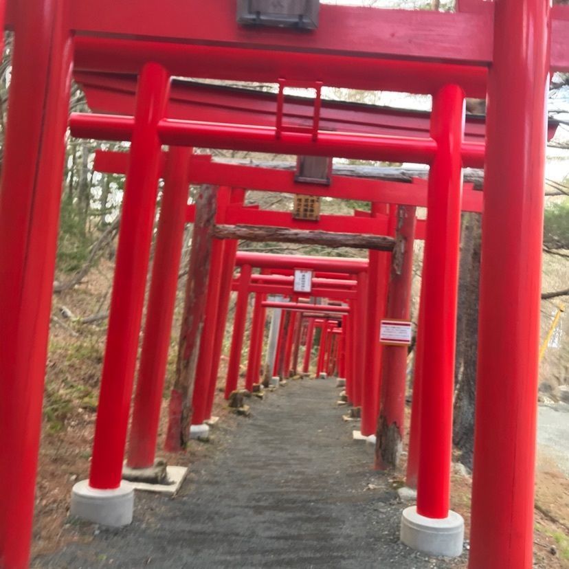猫なぎ。さんが投稿した白石市に関する口コミの画像