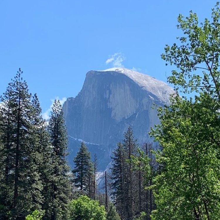 Hy0804さんが投稿したYosemite National Parkに関する口コミの画像