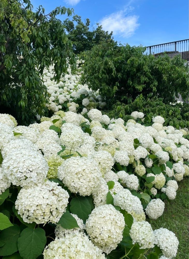 active34さんが投稿した水の広場公園に関する口コミの画像