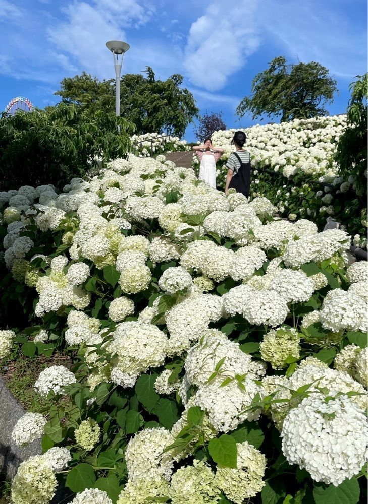 active34さんが投稿した水の広場公園に関する口コミの画像
